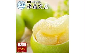 ＜厳選＞高知の宝石、水晶文旦５kg 先行予約 期間限定 水晶文旦 文旦 ブンタン ぶんたん ５キロ 柑橘 みかん フルーツ 果物 高知 名物 箱入り ギフト