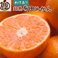 ＜2024年11月より発送＞家庭用 超熟有田みかん1.5kg+45g（傷み補償分）【わけあり・訳あり】【光センサー選果】
※北海道・沖縄・離島への配送不可
※2024年11月上旬～12月下旬頃に順次発送予定