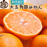 ＜2024年11月より発送＞家庭用 大きな有田みかん10kg+300g（傷み補償分）【わけあり・訳あり】【光センサー選果】
※北海道・沖縄・離島への配送不可
※2024年11月中旬～2025年1月下旬頃に順次発送予定