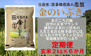 【6ヶ月定期便】宮城県岩沼市産 志賀沢米 金のいぶき 玄米2kg