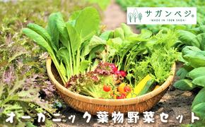 CQ019_オーガニック葉物野菜セット【植物性で育てた完全無農薬の葉野菜ブランド有機JAS】