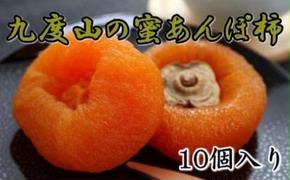 【無添加】九度山あんぽ柿「蜜あんぽ」大きめサイズ10袋入り
※2024年12月中旬～2025年3月中旬頃に順次発送予定