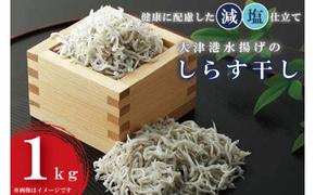 AS003　大津港水揚げのしらす干し１kg