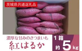 AK001【先行予約】【11月発送】濃厚な甘みさつまいも 紅はるか5kg（茨城県共通返礼品・行方市産）