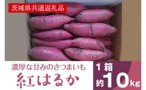 AK002【先行予約】【11月発送】濃厚な甘みさつまいも 紅はるか10kg（茨城県共通返礼品・行方市産）