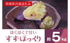 ホクホクで甘いさつまいも すずほっくり5kg（茨城県共通返礼品・行方市産）(AK105)