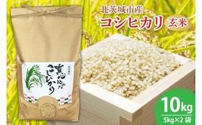 BN001-1　【先行予約】【令和６年産】【数量限定】新米　コシヒカリ玄米10kg