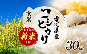 令和７年産　新米「コシヒカリ」30kg（玄米）お米 30kg 