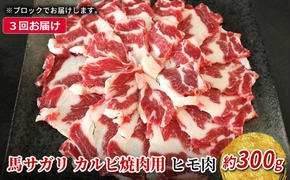 定期便 3ヶ月 馬 サガリ 300g 馬肉 肉 熊本 3回 お楽しみ ※配送不可：離島