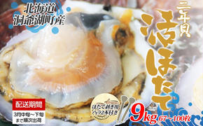 北海道産 活ほたて 2年貝 約 9kg 67枚～100枚 2025年3月中旬～3月下旬頃お届け 殻付き 貝付き 帆立 ホタテ ほたて 貝 魚介 海産 海鮮 貝柱 噴火湾 刺身 焼き フライ 生産者支援 産地直送 送料無料