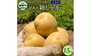 ★先行受付：2024年5月発送開始★大野台地で採れた 令和6年産新じゃがいも『とうや』15kg 訳あり品 15キロ イモ ジャガイモ 芋 いも ポテト 野菜 おいしい なめらか 旬 国産 お取り寄せ 送料無料