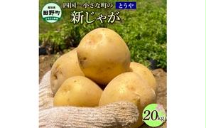 【ふるさと納税】★先行受付：2024年5月発送開始★大野台地で採れた 令和6年産新じゃがいも『とうや』20kg 20キロ トウヤ イモ 新じゃが ジャガイモ 芋 いも ポテト 野菜 おいしい なめらか 旬 国産 お取り寄せ 常温 配送 送料無料 高知県 田野町 故郷納税 返礼品