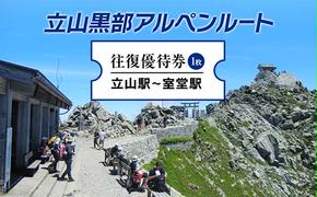 立山黒部アルペンルート ( 立山駅 ～ 室堂駅 ※往復 ) 優待券 立山黒部貫光観光 旅行 券 チケット 体験 トラベル 黒部 富山県 立山町 F6T-153