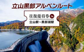 立山黒部アルペンルート ( 立山駅 ～ 黒部湖駅 ※往復 ) 優待券 立山黒部貫光観光 旅行 券 チケット 体験 トラベル 黒部 富山県 立山町 F6T-155