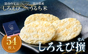 しろえびせんべいプレミアム しろえび撰54枚入り 日の出屋製菓産業 せんべい 煎餅 個包装 しろえび 白エビ 薄焼き ギフト 富山県 立山町 F6T-001