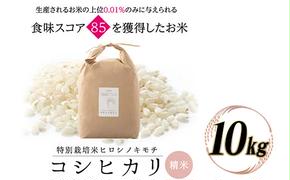 特別栽培米 コシヒカリ ヒロシノキモチ 10kg 陽咲玲 米 お米 コメ 白米 精米 ご飯 ごはん 富山県産 富山県 立山町 F6T-525