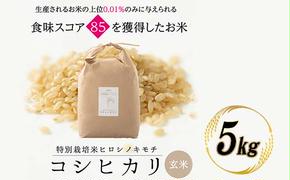 特別栽培米 コシヒカリ ヒロシノキモチ 玄米 5kg 陽咲玲 米 お米 コメ ご飯 ごはん 富山県産 富山県 立山町 F6T-522