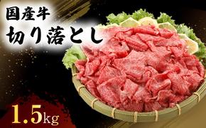 国産 牛 切り落とし 300g×5P 肉 お肉 牛肉 ※配送不可：離島