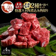 土佐あかうし＆土佐和牛2種食べ比べ（500g×8パック）4キロ 4kg 特選スネ肉煮込み角切り 牛肉 赤牛 和牛 カレー シチュー 国産 エイジングビーフ 天下味 エイジング工法 熟成肉 ギフト