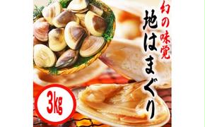 鹿島灘特産★ブランド地はまぐり（超特盛3kg）（KBL-6）