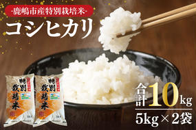 【令和6年産】鹿嶋市の子どもたちが食べている特別栽培米コシヒカリ10kg（5kg×2袋）【お米 米 こしひかり 特別栽培 有機肥料 有機栽培 鹿嶋市 茨城県 白米 新米 おにぎり ごはん 30000円以内 3万円以内】(KBS-7）