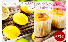 【お歳暮】レモンケーキ&おさつのなる木（スイートポテト）【鹿嶋市 れもん 茨城県産 さつまいも 紅あずま スイーツ セット おいしい ギフト ティータイム】（KD-14）