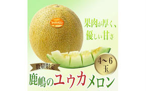 カシマのメロン ユウカメロン 4～6玉（KA-14）
