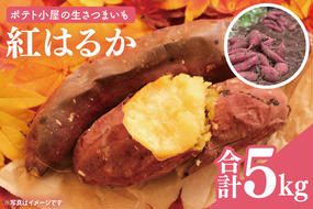 ポテト小屋の生さつまいも 【紅はるか】 5kg 【鹿嶋市 減農薬 サツマイモ 生芋 べにはるか 送料無料 5キロ 10000円以下】 (KBR-3)