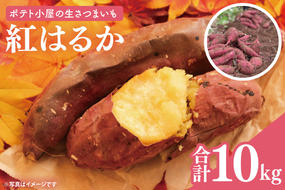 ポテト小屋の生さつまいも 【紅はるか】 10kg 【鹿嶋市 減農薬 サツマイモ 生芋 べにはるか 送料無料 10キロ 15000円以下】 (KBR-4)