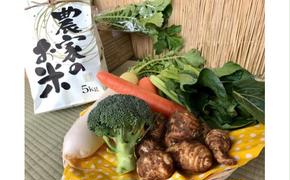 【栽培期間農薬不使用】お米と野菜セット 【おいしい ごはん やさい セット グルメ 無農薬】（KBE-22）