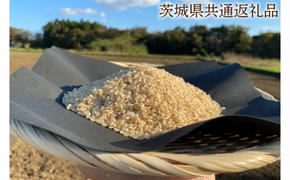 【できるだけ農薬を減らした】マキタ超こしひかり 玄米5kg【茨城県共通返礼品・行方市産】【おいしい お米 マキタ 減農薬 安心 げんまい 15000円以下 鹿嶋市】（KBE-26）