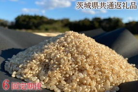 【6ヶ月定期便】【栽培期間農薬不使用】マキタ超こしひかり 玄米5kg×6回【茨城県共通返礼品・行方市産】【おいしい お米 マキタ 減農薬 安心  鹿嶋市】（KBE-44）