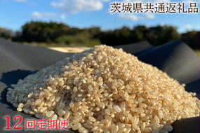 【12ヶ月定期便】【栽培期間農薬不使用】マキタ超こしひかり 玄米5kg×12回【茨城県共通返礼品・行方市産】【おいしい お米 マキタ 減農薬 安心  鹿嶋市】（KBE-45）