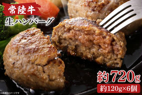 AA016　常陸牛生ハンバーグ　120g×6