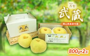 早期受付 香梨 武蔵 約800g×2玉 岡山 和梨 梨 なし ナシ 新興 幸水 果物 フルーツ 