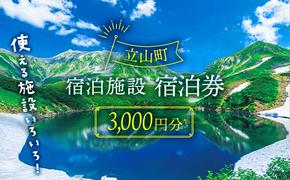 リピーター多数★ 宿泊券 山小屋含む宿泊施設 3,000円分富山 とやま 立山 たてやま 登山 山登り 山歩き トレッキング アルペンルート 商品券 チケット 宿 宿泊 温泉 旅行 旅 観光 3000 3000円 富山県 立山町 F6T-051