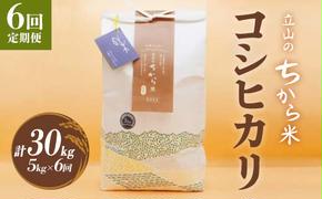 【6回 定期便 】立山のちから米 コシヒカリ 5kg×6回 総計30kg たてやま 米 こめ お米 コメ 精米 白米 こしひかり 美味しい 富山県 立山町 F6T-539