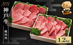 神戸牛 焼肉用 セット 計1.2kg AKYS5[ 肉 牛肉 神戸ビーフ かたロース ロース かた もも バーベキュー キャンプ アウトドア ]