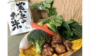 【6ヶ月定期便】【栽培期間農薬不使用】お米と季節の野菜（4～5品）のセット 【おいしい ごはん やさい セット グルメ 無農薬】（KBE-12）