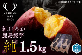 【人気返礼品】【先行予約開始！12月上旬～発送】鹿島焼芋 純 1.5kg【冷蔵 ひやし 焼き芋 やきいも さつまいも 芋 お菓子 おやつ デザート スイーツ 和菓子 和スイーツ 鹿嶋市 茨城県】（KBK-8）