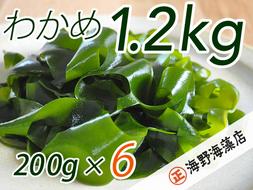 しゃきしゃき 湯通し塩蔵わかめ 1.2kg （200g x 6パック） 国産 三陸産 海野海藻店 わかめ 塩蔵わかめ 湯通し不要