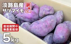 【訳アリ】淡路島産サツマイモ 5kg【栽培期間中、無農薬栽培】　　[さつまいも サツマイモ さつまいも サツマイモ]