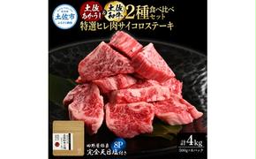 土佐あかうし＆土佐和牛2種食べ比べ 特選ヒレ肉サイコロステーキ500g 計8P 田野屋銀象完全天日塩8P付 牛肉 肉 お肉 和牛 国産 牛 赤身 ヒレ カルビ ロース ブロック サーロイン 熟成肉