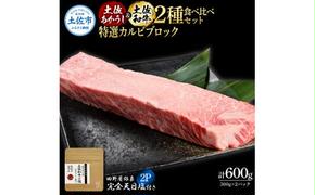 土佐あかうし＆土佐和牛2種食べ比べ 特選カルビブロック300g 計2P 田野屋銀象完全天日塩2P付 牛肉 肉 お肉 和牛 国産 牛 赤身 ヒレ カルビ ロース ブロック サーロイン 熟成肉