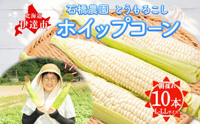  北海道 朝もぎ ホワイト とうもろこし L-LL サイズ 10本 ホイップコーン スイートコーン 白色 トウモロコシ 白い とうきび コーン 旬 完熟 野菜 甘い 産地直送 お取り寄せ