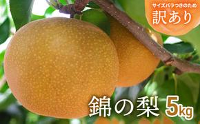 訳あり 梨 錦の梨 5kg 果物 フルーツ ※配送不可:離島