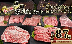 神戸牛 12か月 定期便 連続お届け ブランド牛 ステーキ しゃぶしゃぶ  焼肉 セット 小分け 牛肉 高額 高額寄附 ローストビーフ 神戸ビーフ