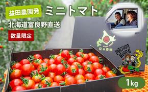 [数量限定・2025年7月中旬〜順次発送]富良野 益田農園産 ミニトマト 約1kg トマト ギフト 北海道 富良野市 野菜 とれたて 新鮮 限定 数量限定 (益田農園)