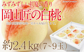 もも 2025年 先行予約 岡山匠の白桃 約2.4kg 7～9玉 犬塚農園 岡山県産 清水白桃 桃 モモ ギフト 初夏 みずみずしい