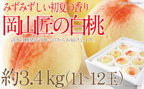 もも 2025年 先行予約 岡山匠の白桃 約3.4kg 11～12玉 犬塚農園 岡山県産 清水白桃 桃 モモ ギフト 初夏 みずみずしい